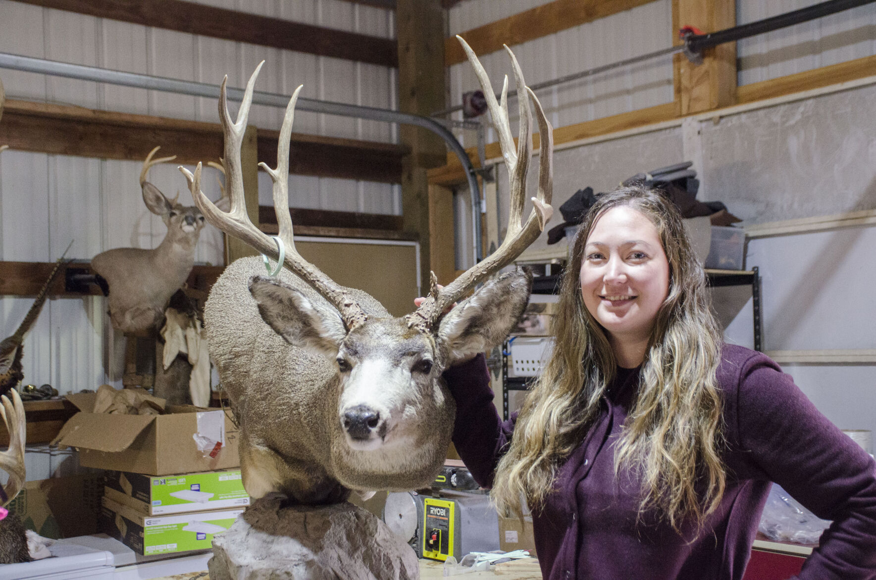 Last Look Taxidermy